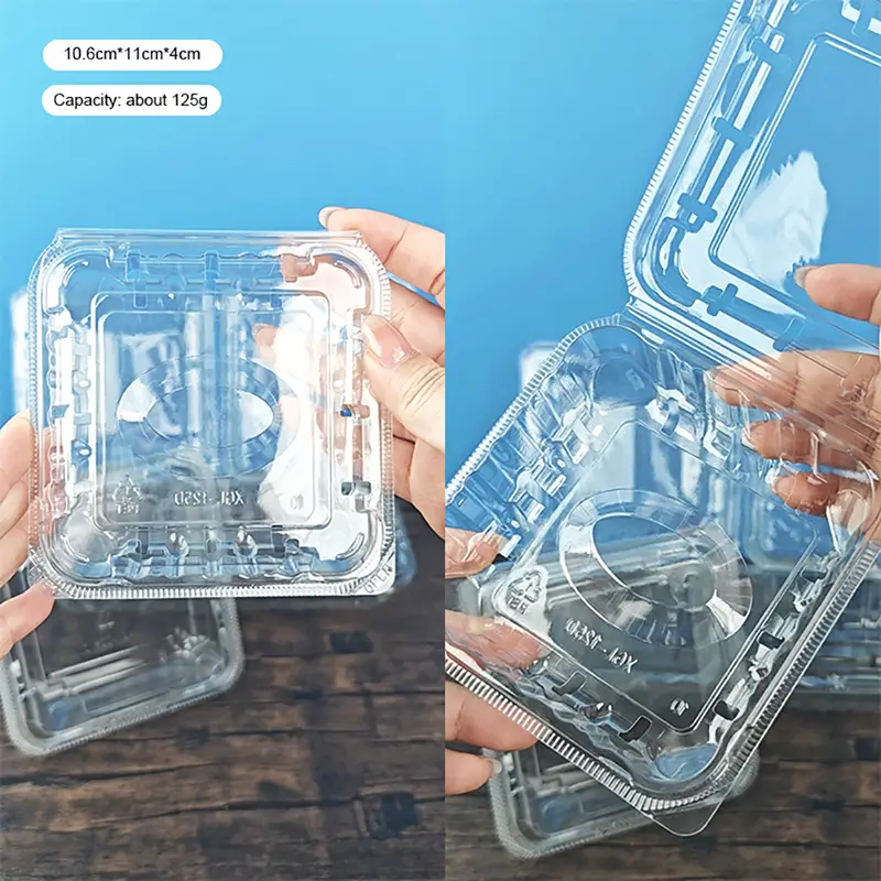 Square PET Blueberry Plastic Box